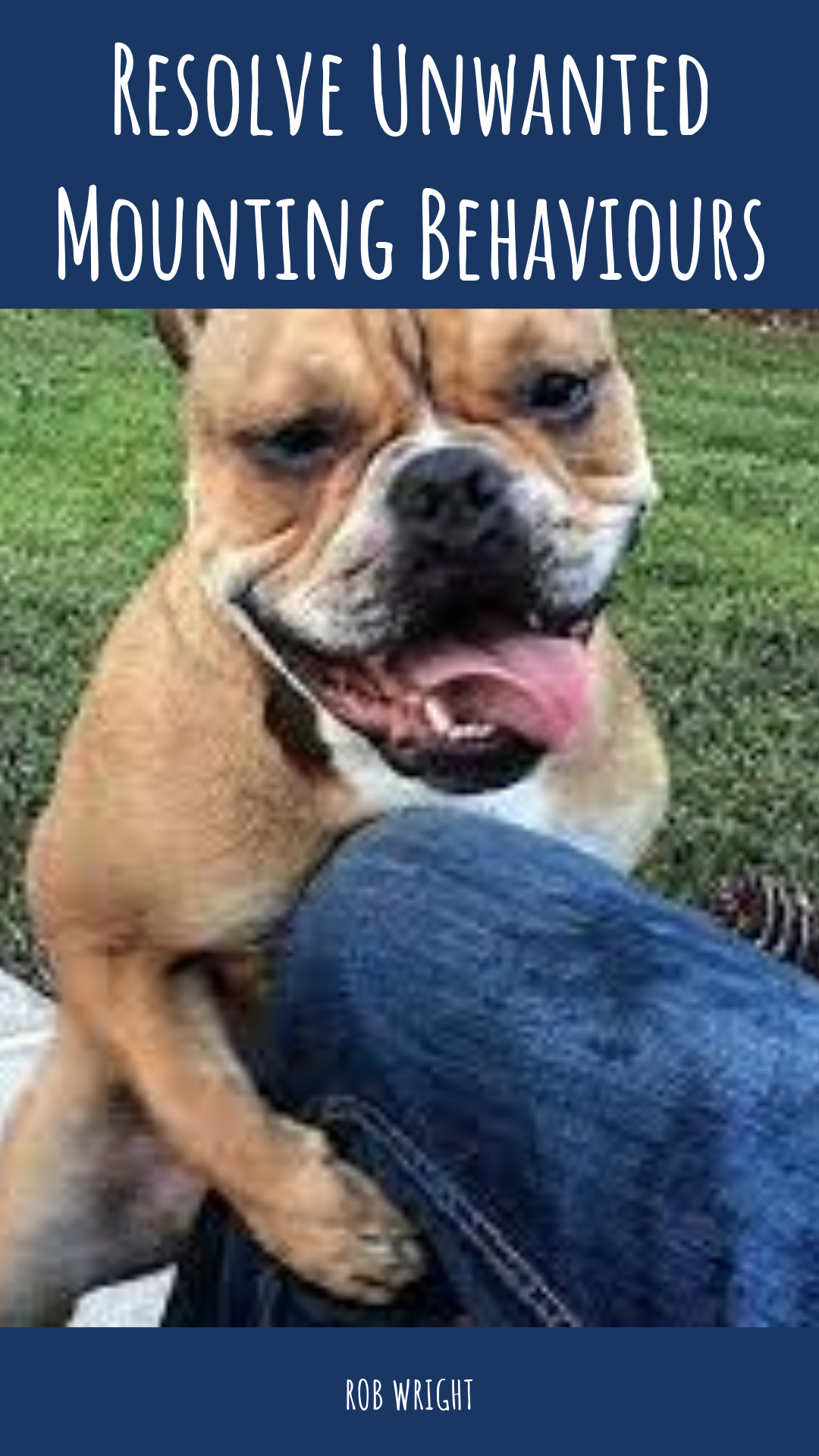 Resolve Unwanted Mounting Behaviours